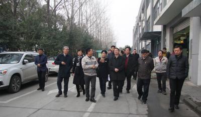 十年www.jinnianhui.com金年会体育伴我行 又添春雨沐春风 ——记天津津南区党政代表团莅临合肥www.jinnianhui.com金年会体育考察指导